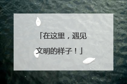 在这里，遇见文明的样子！