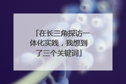 在长三角探访一体化实践，我想到了三个关键词