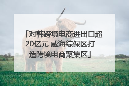 对韩跨境电商进出口超20亿元 威海综保区打造跨境电商聚集区