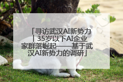 寻访武汉AI新势力︱35岁以下AI企业家群落崛起——基于武汉AI新势力的调研