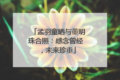 孟羽童晒与董明珠合照：感念曾经，未来珍重