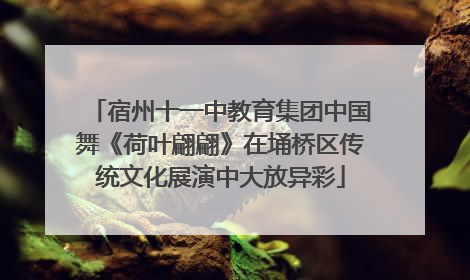 宿州十一中教育集团中国舞《荷叶翩翩》在埇桥区传统文化展演中大放异彩