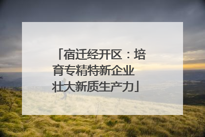 宿迁经开区：培育专精特新企业 壮大新质生产力