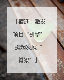 宿迁：激发项目“引擎” 挺起发展“脊梁”