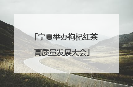 宁夏举办枸杞红茶高质量发展大会