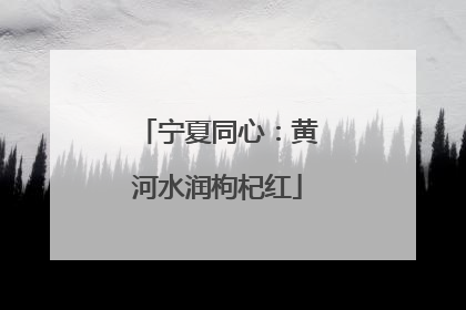 宁夏同心：黄河水润枸杞红