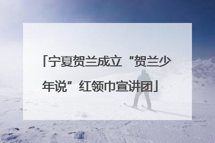 宁夏贺兰成立“贺兰少年说”红领巾宣讲团