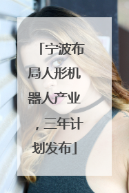 宁波布局人形机器人产业，三年计划发布