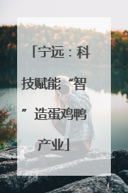 宁远：科技赋能“智”造蛋鸡鸭产业
