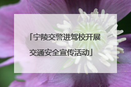 宁陵交警进驾校开展交通安全宣传活动