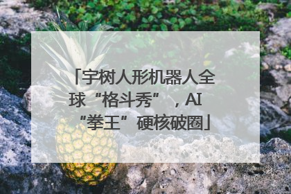 宇树人形机器人全球“格斗秀”，AI“拳王”硬核破圈