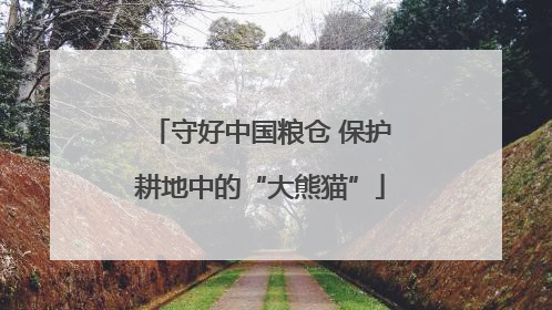 守好中国粮仓 保护耕地中的“大熊猫”