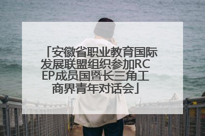 安徽省职业教育国际发展联盟组织参加RCEP成员国暨长三角工商界青年对话会
