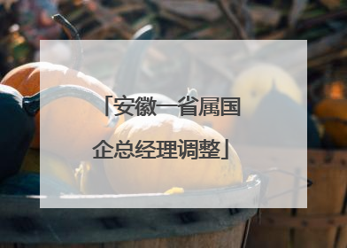 安徽一省属国企总经理调整
