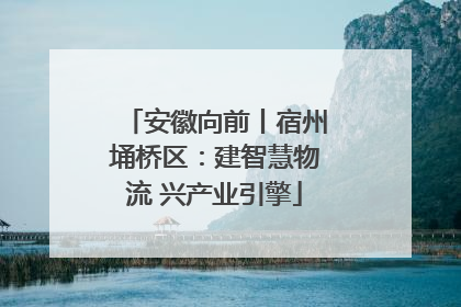 安徽向前丨宿州埇桥区：建智慧物流 兴产业引擎