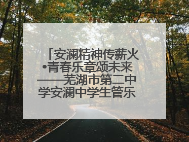 安澜精神传薪火•青春乐章颂未来——芜湖市第二中学安澜中学生管乐团第十二届公益展演圆满举行