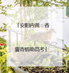 安阳内黄：香囊寄情助高考