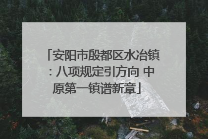 安阳市殷都区水冶镇：八项规定引方向 中原第一镇谱新章