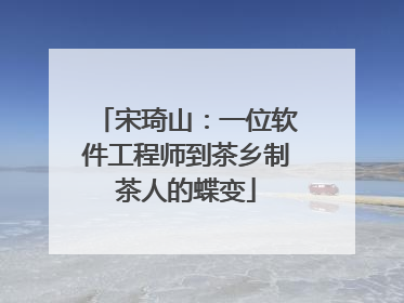 宋琦山：一位软件工程师到茶乡制茶人的蝶变