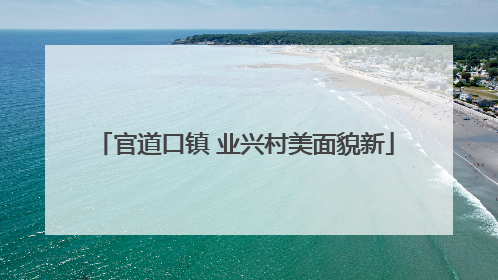官道口镇 业兴村美面貌新