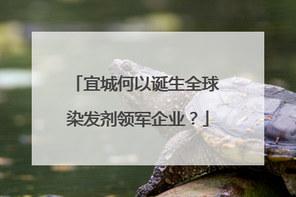 宜城何以诞生全球染发剂领军企业？