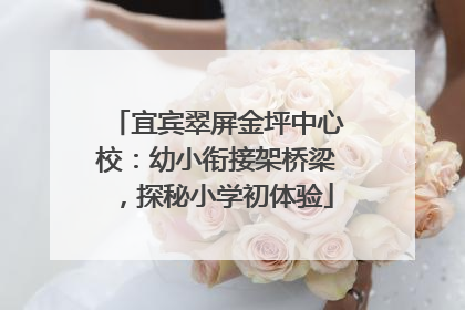 宜宾翠屏金坪中心校：幼小衔接架桥梁，探秘小学初体验