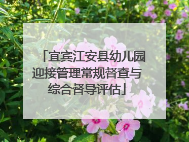 宜宾江安县幼儿园迎接管理常规督查与综合督导评估
