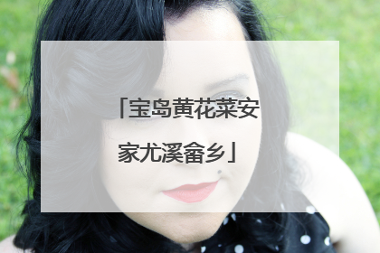 宝岛黄花菜安家尤溪畲乡
