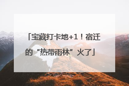 宝藏打卡地+1！宿迁的“热带雨林”火了