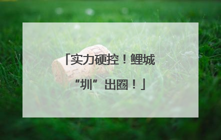 实力硬控！鲤城“圳”出圈！