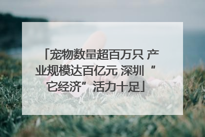 宠物数量超百万只 产业规模达百亿元 深圳“它经济”活力十足