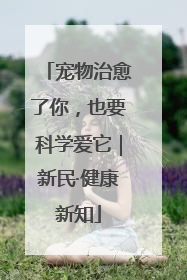 宠物治愈了你，也要科学爱它｜新民·健康新知