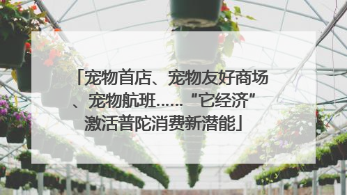 宠物首店、宠物友好商场、宠物航班……“它经济”激活普陀消费新潜能