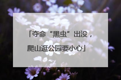 夺命“黑虫”出没，爬山逛公园要小心