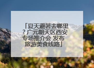夏天避暑去哪里？广元朝天区西安专场推介会 发布旅游美食线路