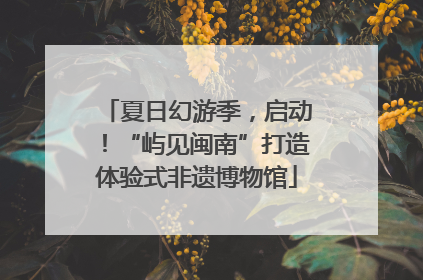 夏日幻游季，启动！“屿见闽南”打造体验式非遗博物馆