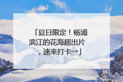 夏日限定！杨浦滨江的花海超出片，速来打卡→