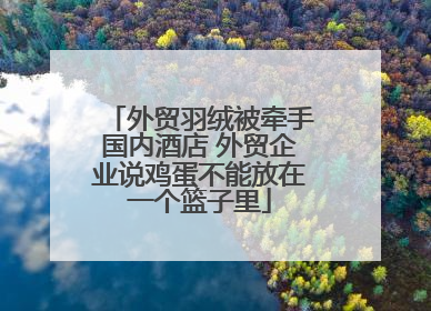 外贸羽绒被牵手国内酒店 外贸企业说鸡蛋不能放在一个篮子里