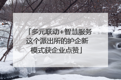 多元联动+智慧服务 这个派出所的护企新模式获企业点赞