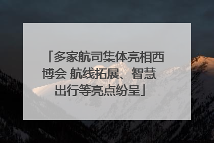 多家航司集体亮相西博会 航线拓展、智慧出行等亮点纷呈
