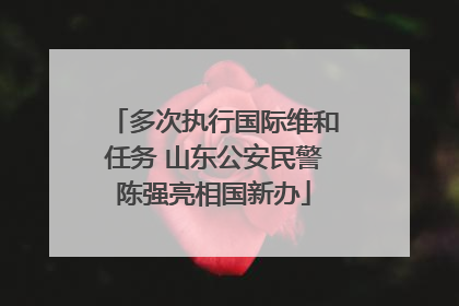 多次执行国际维和任务 山东公安民警陈强亮相国新办