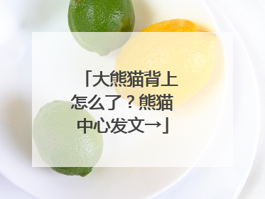 大熊猫背上怎么了？熊猫中心发文→