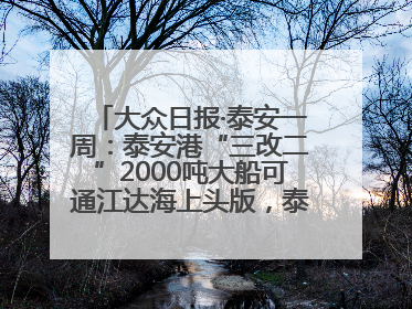大众日报·泰安一周：泰安港“三改二”2000吨大船可通江达海上头版，泰安房产服务改革经验全省推广