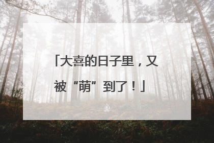 大喜的日子里，又被“萌”到了！