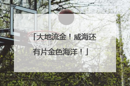 大地流金！威海还有片金色海洋！