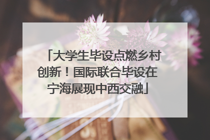 大学生毕设点燃乡村创新！国际联合毕设在宁海展现中西交融
