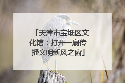 天津市宝坻区文化馆：打开一扇传播文明新风之窗