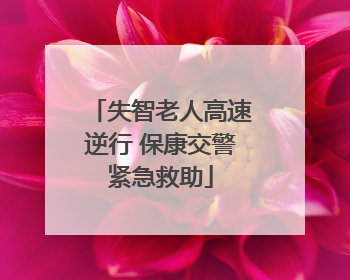 失智老人高速逆行 保康交警紧急救助