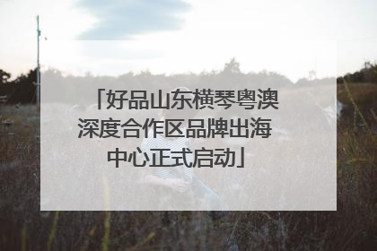 好品山东横琴粤澳深度合作区品牌出海中心正式启动
