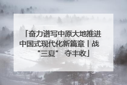 奋力谱写中原大地推进中国式现代化新篇章丨战“三夏” 夺丰收